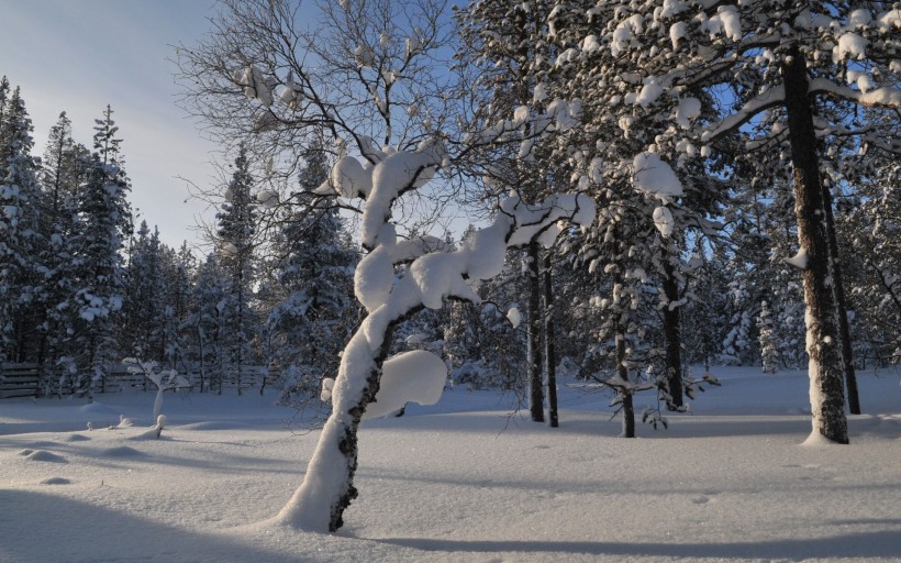 芬兰风景图片(23张)