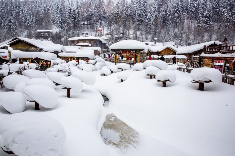 哈尔滨雪乡风景图片(15张)