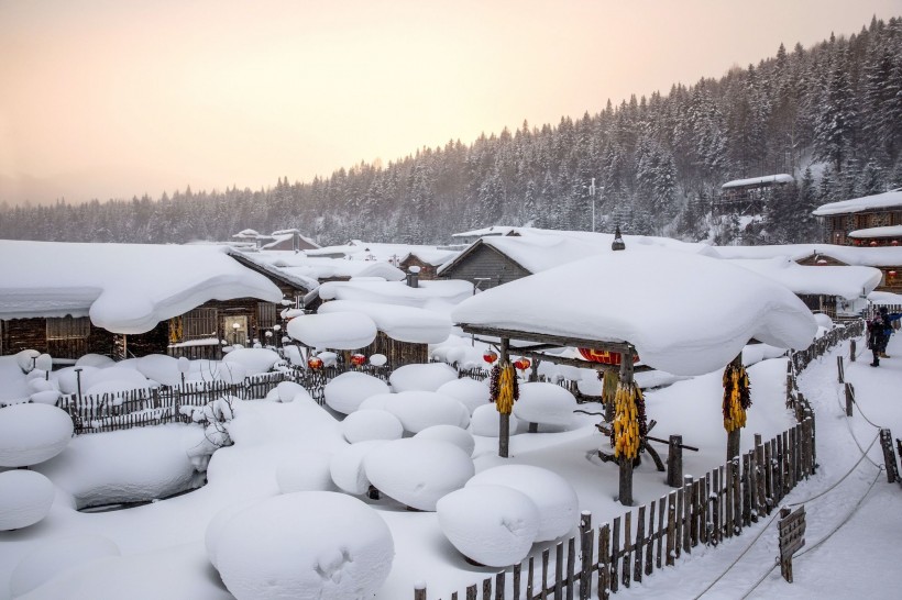 哈尔滨雪乡风景图片(15张)