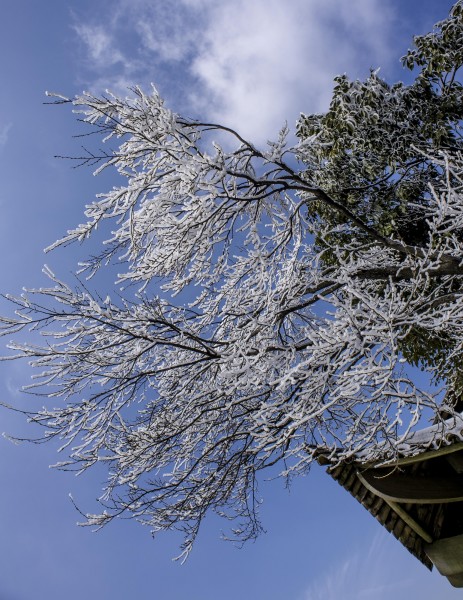 湖南张家界天门山雪景图片(13张)