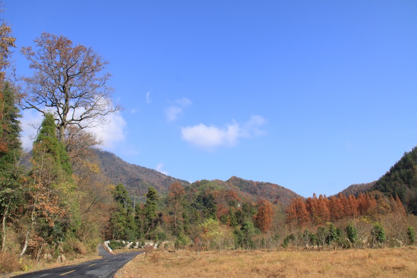 浙江临安天目山风景图片(15张)