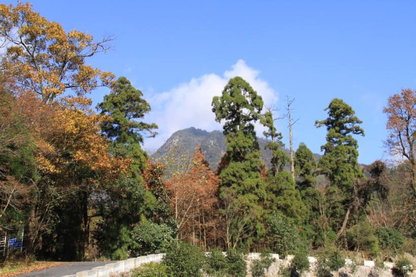 浙江临安天目山风景图片(15张)