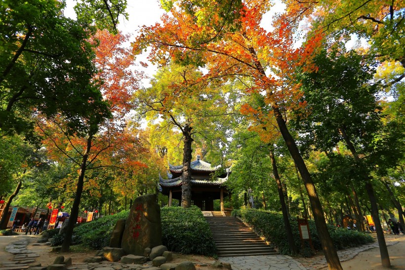 江苏苏州天平山风景图片(16张)