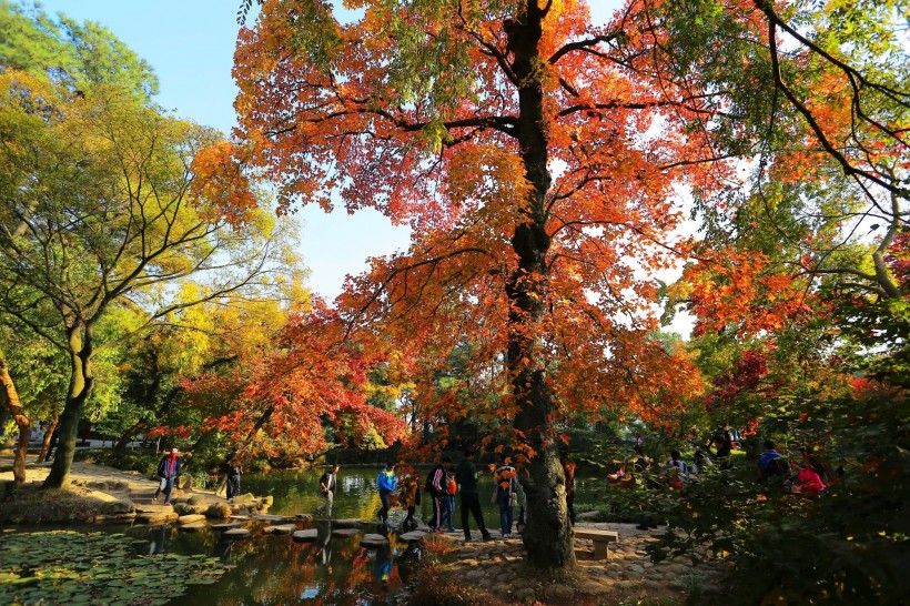 江苏苏州天平山风景图片(16张)