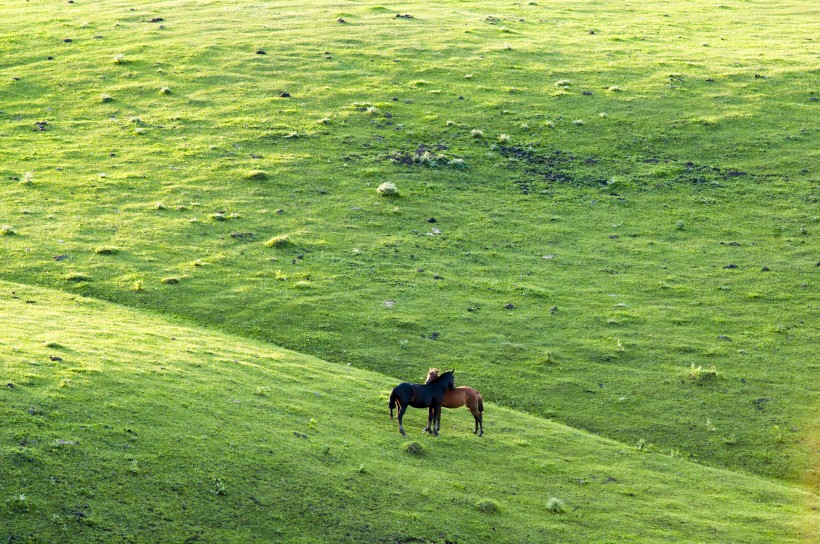新疆美丽的天山牧场风景图片(20张)