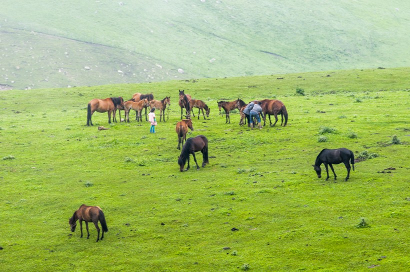 新疆天山牧场风景图片(15张)