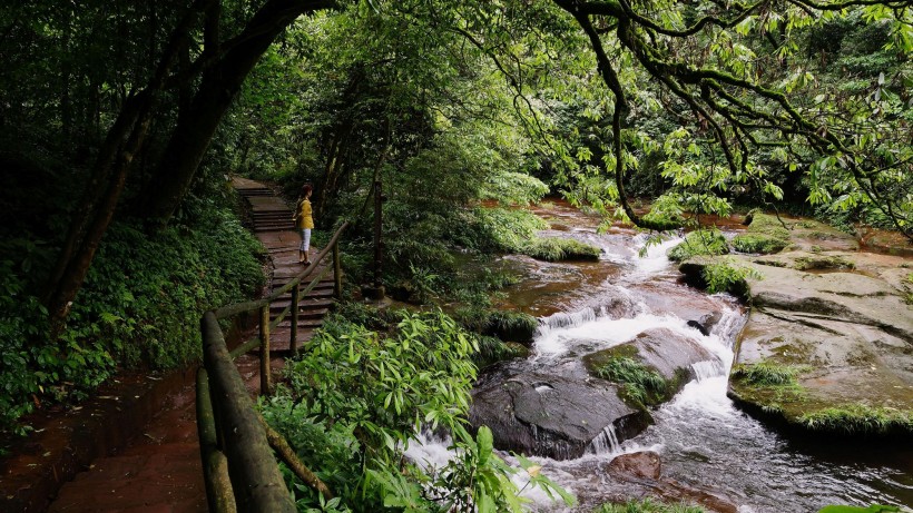 四川天台山风景图片(14张)