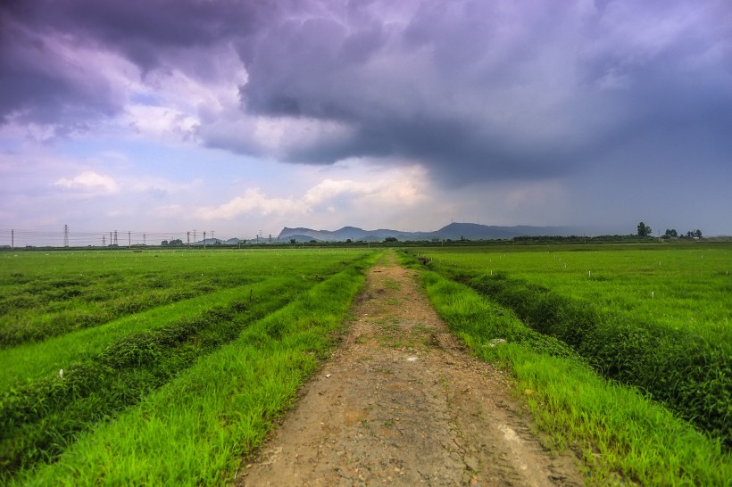 广东惠州潼湖湿地风景图片(19张)