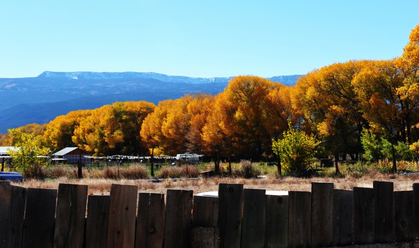 美国犹他州秋景图片(6张)