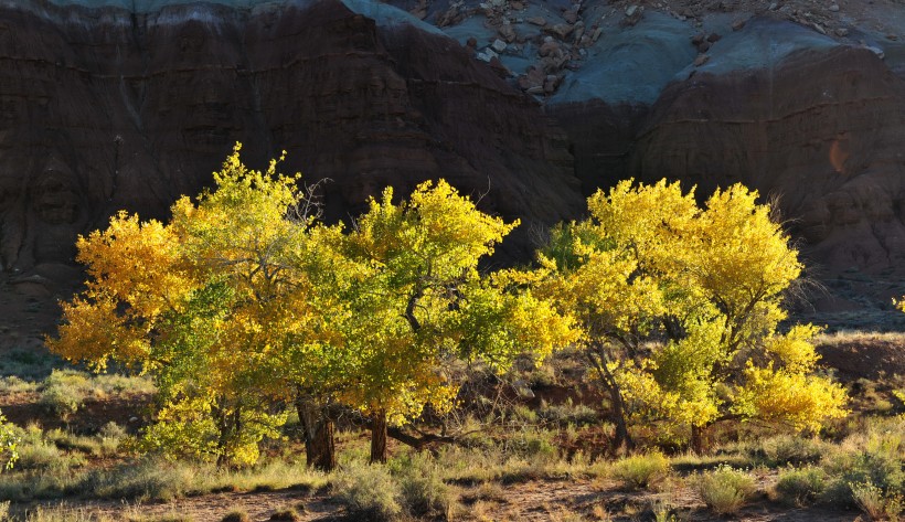 美国犹他州秋景图片(6张)