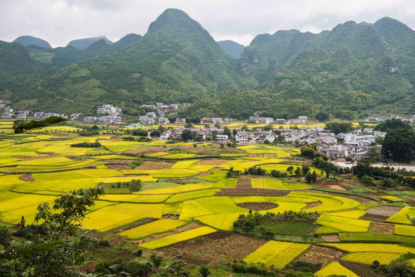 贵州兴义万峰林风景图片(10张)