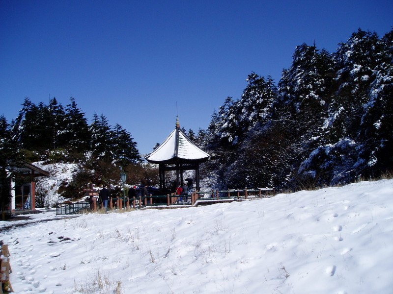 四川峨眉山万佛顶雪景图片(16张)