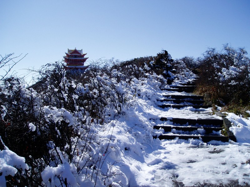 四川峨眉山万佛顶雪景图片(16张)