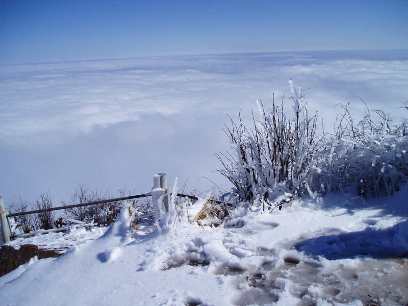 四川峨眉山万佛顶雪景图片(16张)