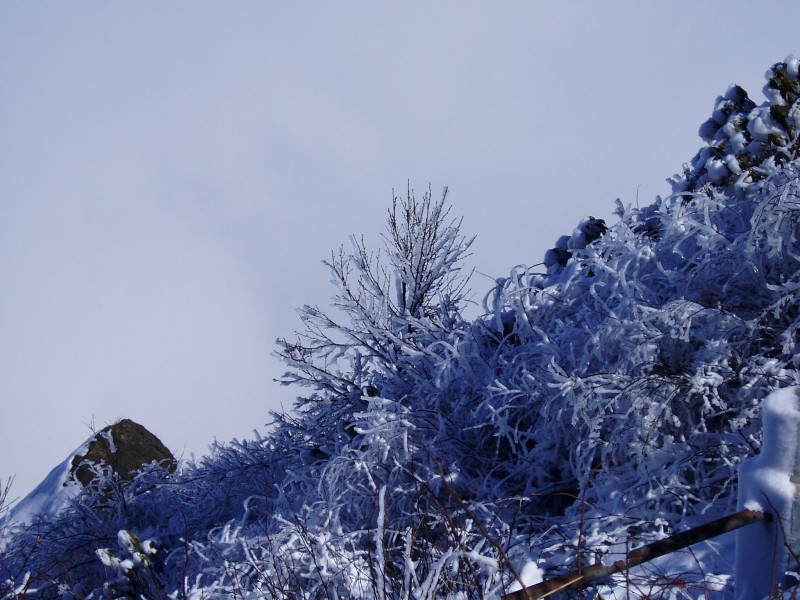 四川峨眉山万佛顶雪景图片(16张)