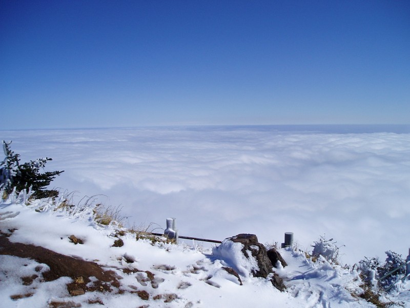 四川峨眉山万佛顶雪景图片(16张)