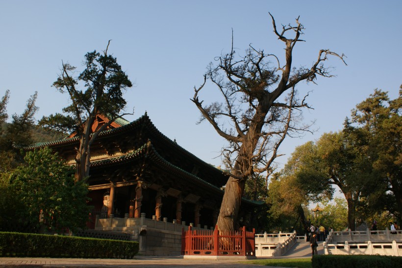 山西偏关万家寨风景图片(12张)
