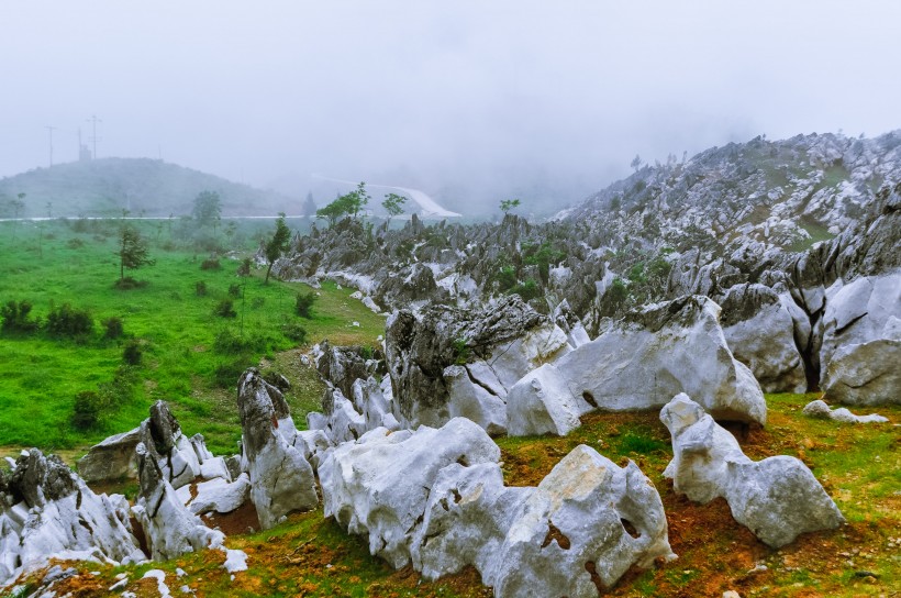 重庆千野草场风景图片(22张)