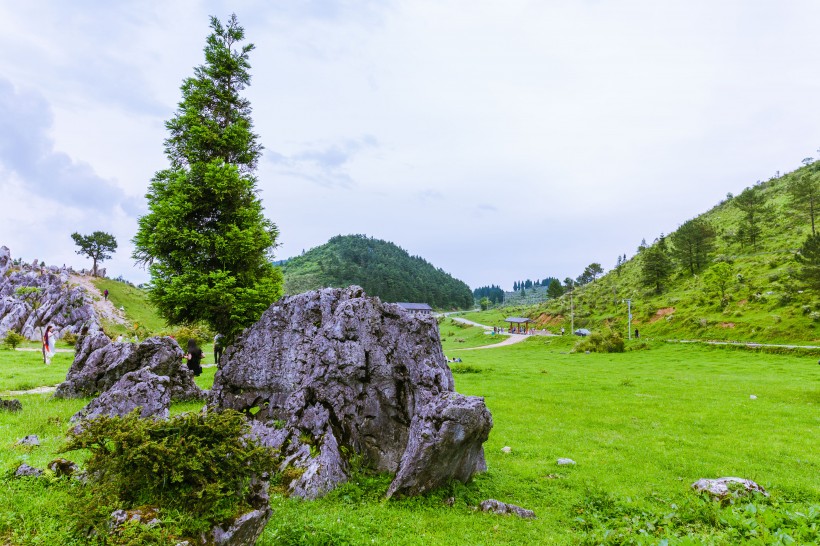 重庆千野草场风景图片(22张)