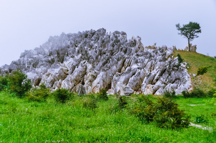 重庆千野草场风景图片(22张)