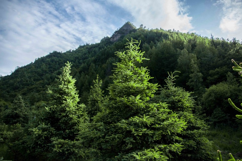 甘肃卧牛山风景图片(6张)