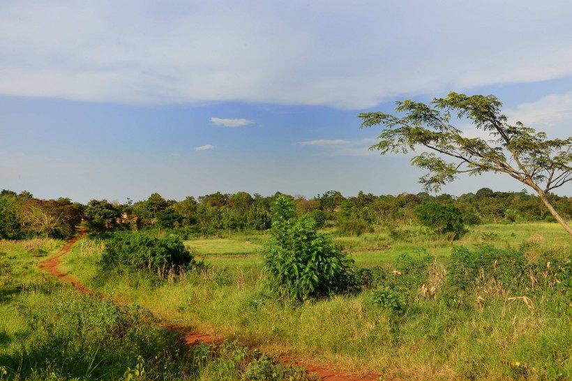 非洲乌干达风景图片(8张)