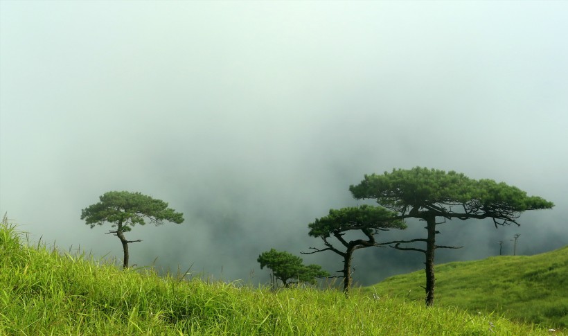 江西武功山风景图片(12张)