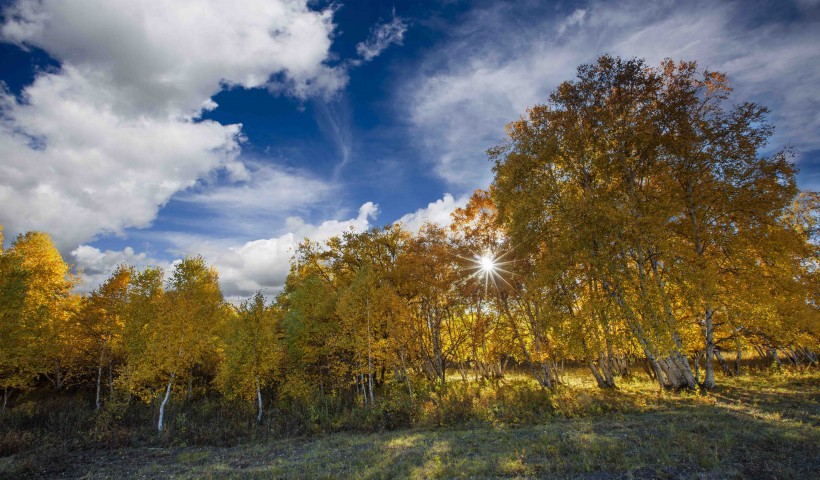 内蒙古乌兰布统风景图片(14张)