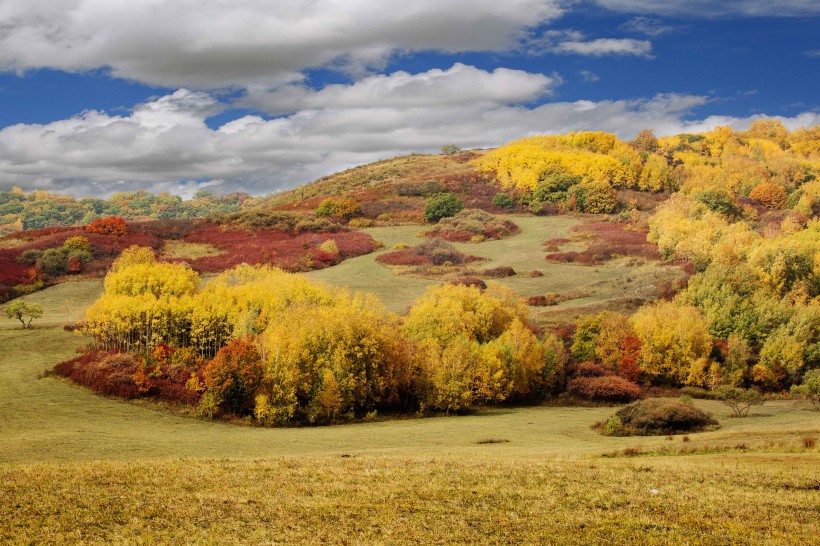 内蒙古乌兰布统风景图片(16张)