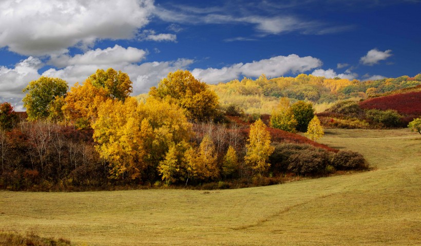 深秋苍凉的乌兰布统草原风景图片(13张)