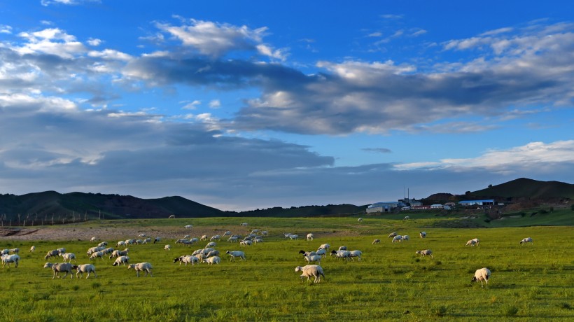 内蒙古乌兰布统草原风景图片(6张)