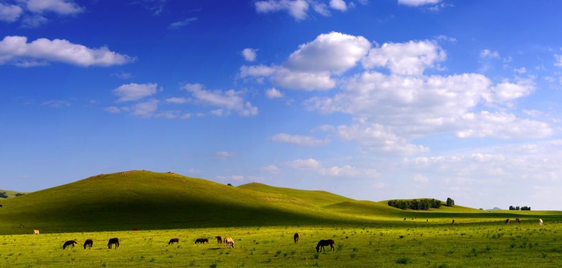 内蒙古乌兰布统草原风景图片(12张)
