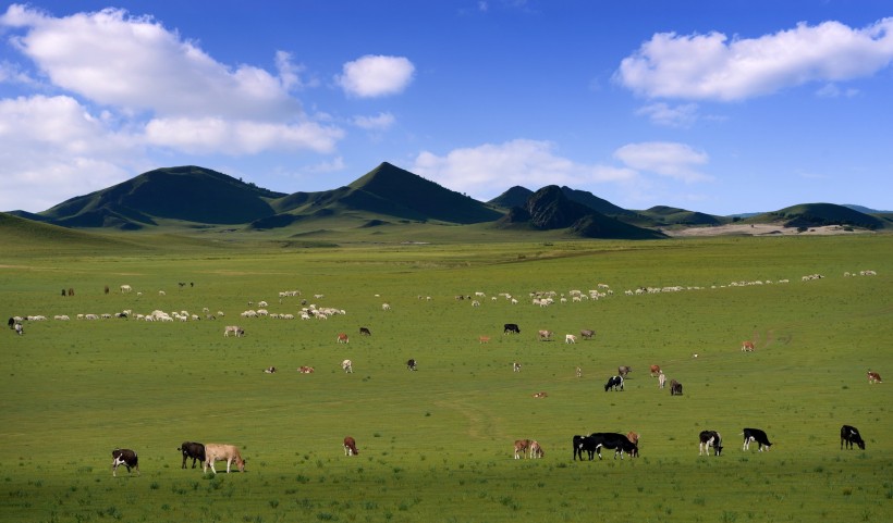 内蒙古乌兰布统草原风景图片(6张)