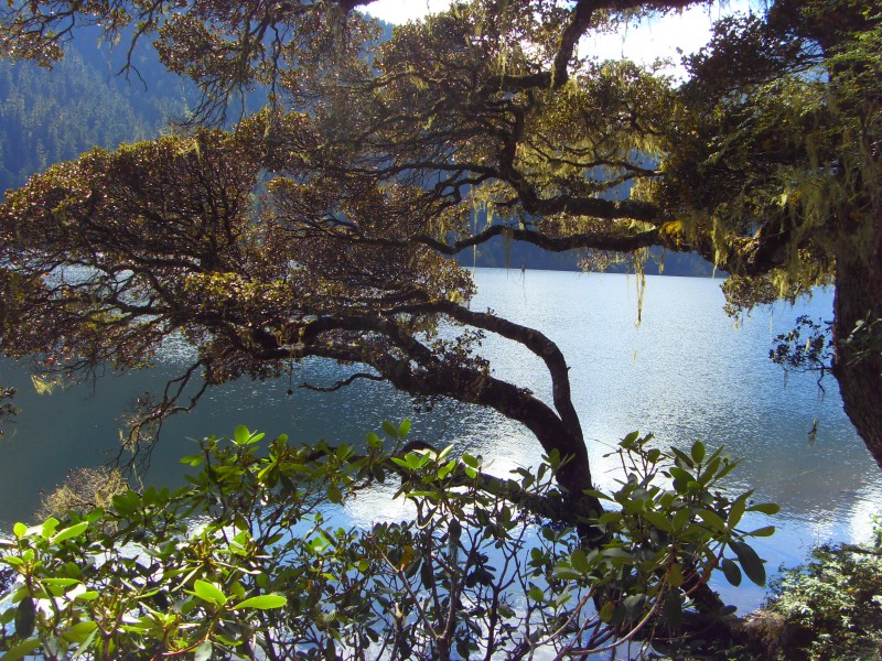 四川九龙伍须海风景图片(18张)