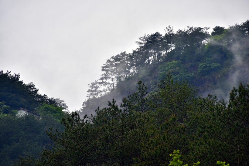 武夷山云海风景图片(8张)