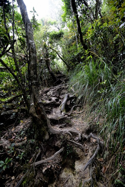 海南五指山原始森林风景图片(16张)