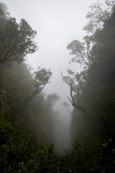 海南五指山原始森林风景图片(16张)
