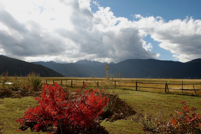 香格里拉纳帕海风景图片(10张)