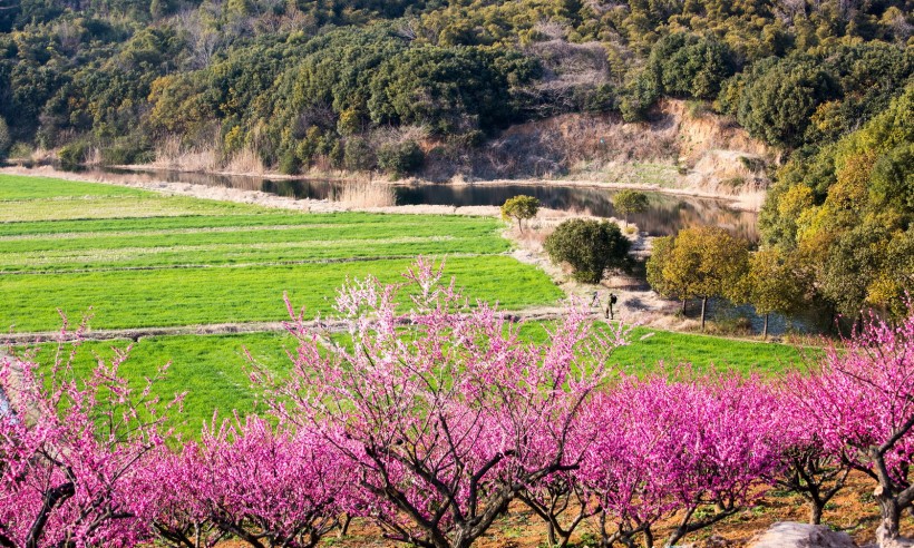 江苏张家港香山风景区图片(12张)