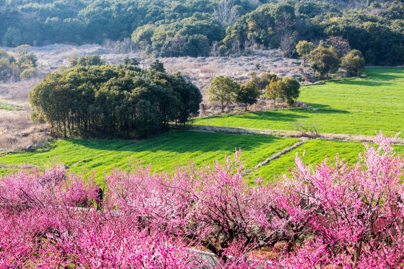 江苏张家港香山风景区图片(12张)