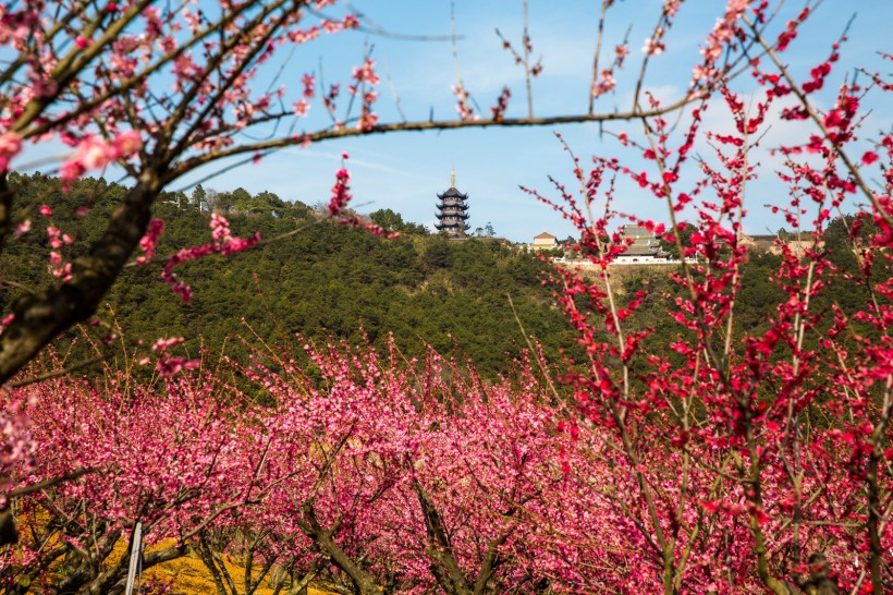 江苏张家港香山风景区图片(12张)