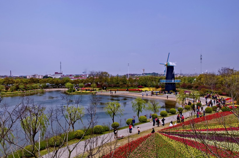 上海鲜花港风景图片(10张)