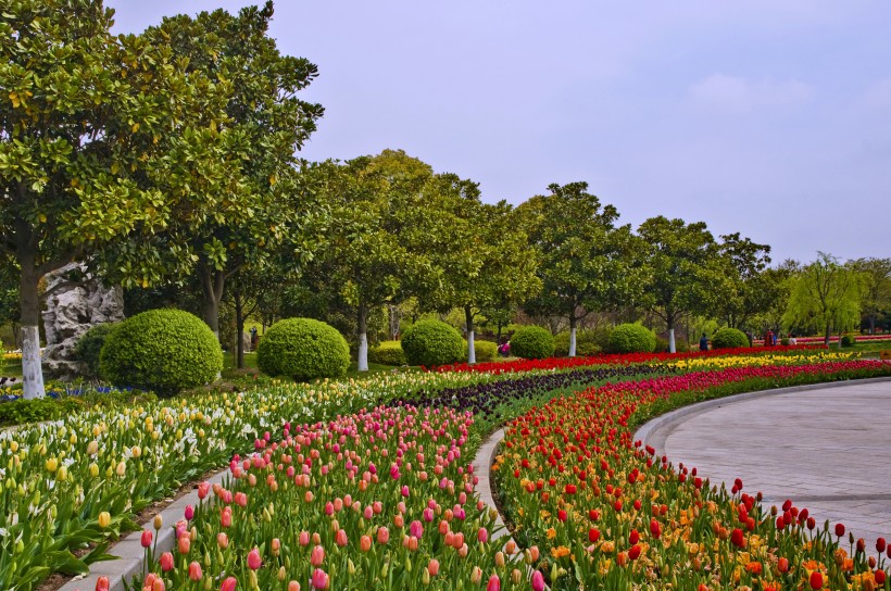 上海鲜花港风景图片(10张)