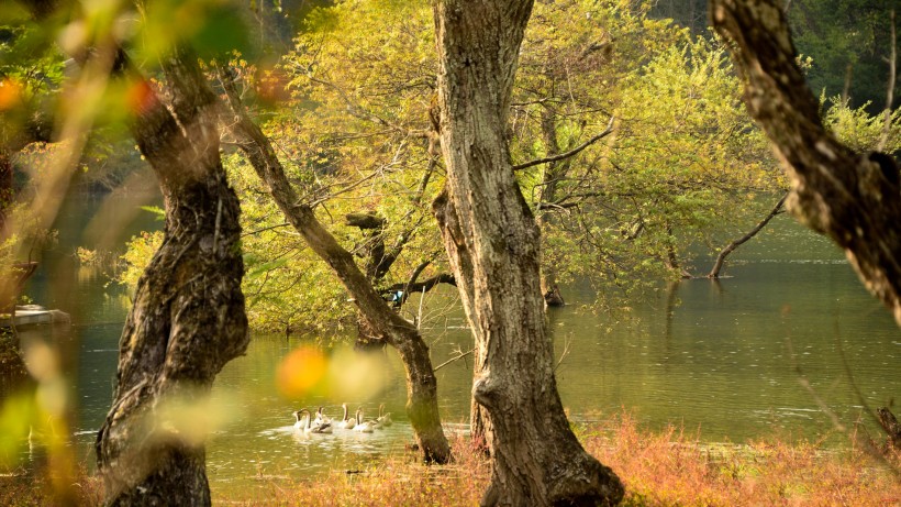 广西桂林逍遥湖风景图片(10张)