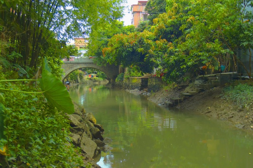 广州小洲村风景图片(16张)