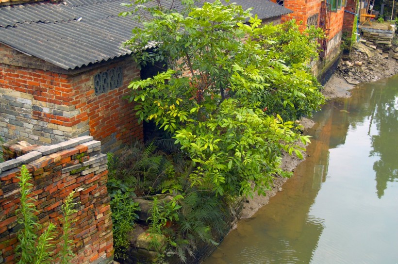 广州小洲村风景图片(16张)