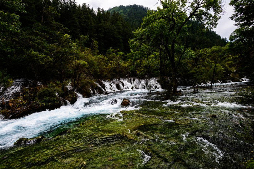 夏日九寨沟风景图片(18张)