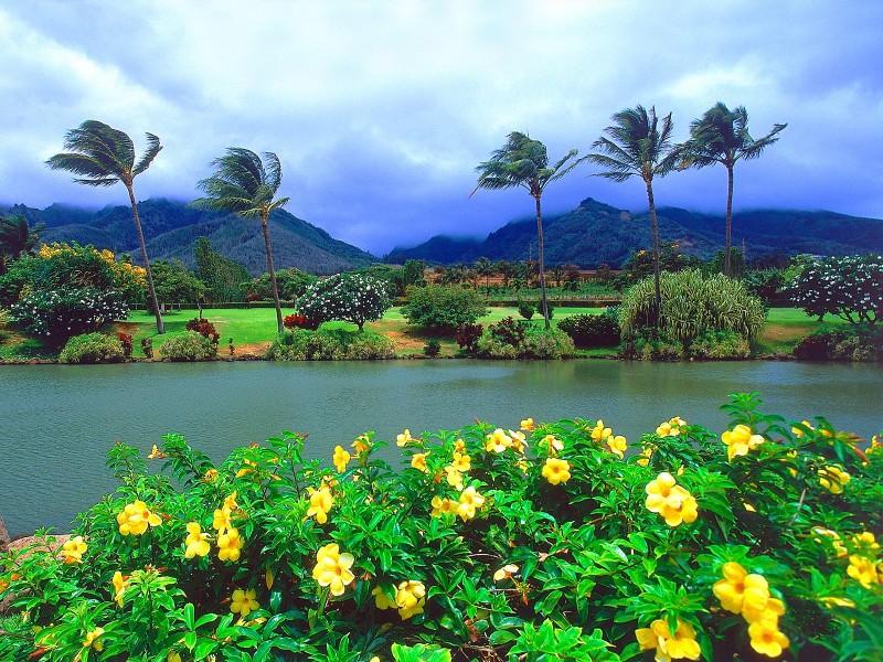 夏威夷海滨图片(20张)