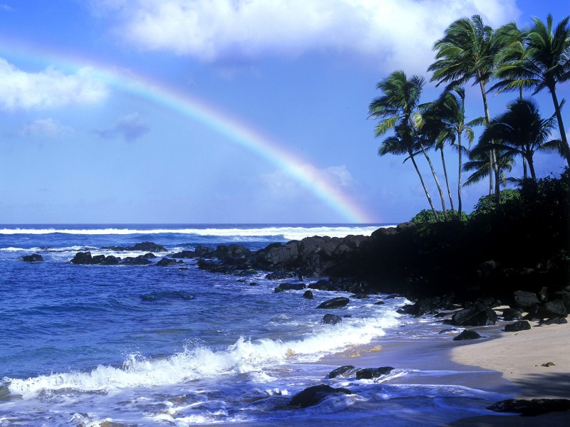 夏威夷海滨图片(20张)