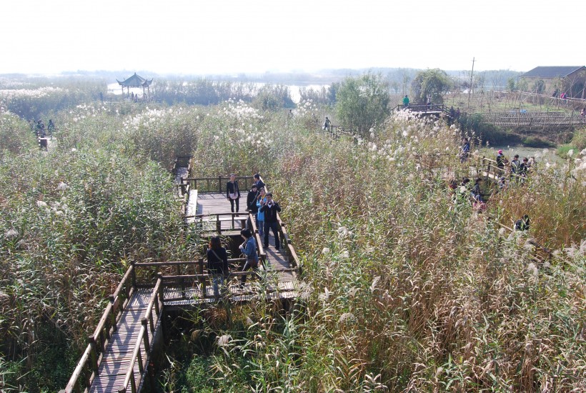 浙江德清下渚湖风景图片(13张)